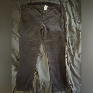JCrew corduroy pants